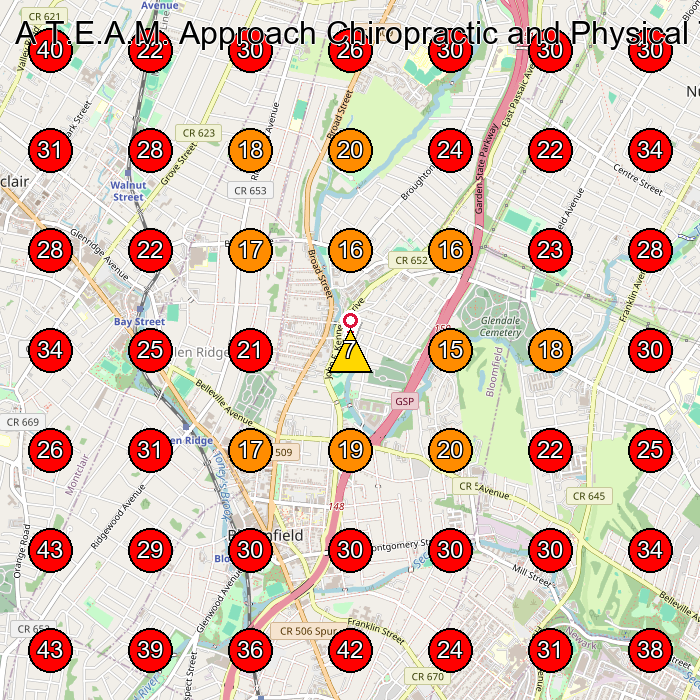 A T.E.A.M. Approach Chiropractic and Physical Therapy Center GeoGrid visibility map for Physical Therapy Clinic in Newark